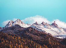 必赢官网：信任与创新并举的全方位娱乐新入口